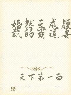 婚然天成腹黑总裁的霸道妻