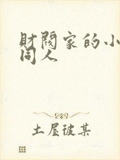 财阀家的小儿子同人