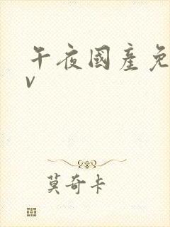 午夜国产免费av