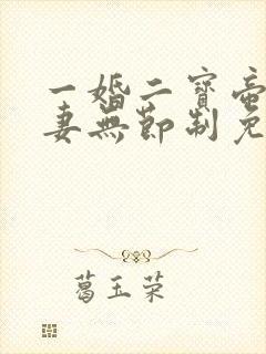 一婚二宝帝少宠妻无节制免费阅读封面