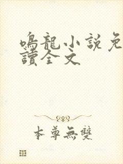 鸣龙小说免费阅读全文