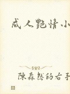 成人艳情小说封面