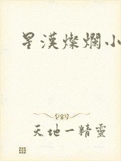 星汉灿烂小说