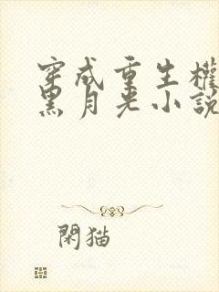 穿成重生权臣的黑月光小说