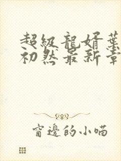 超级龙婿叶辰萧初然最新章节