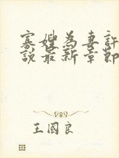 寡嫂为妻许冉小说最新章节更新内容