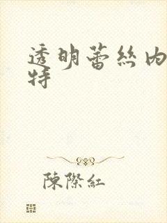 透明蕾丝内衣模特