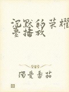 沉默的荣耀那个台播放