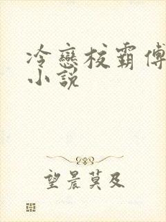 冷恋校霸傅知雨小说