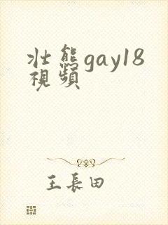 壮熊gay18视频