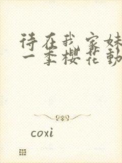 待在我家妹妹第一季樱花动漫