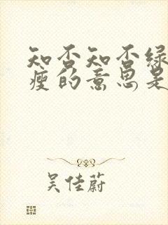 知否知否绿肥红瘦的意思是什么