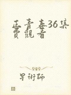 正青春36集免费观看