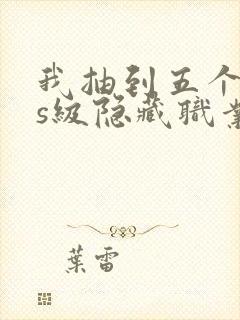 我抽到五个sss级隐藏职业封面