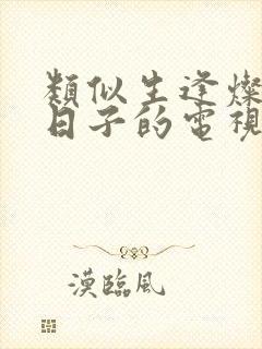 类似生逢灿烂的日子的电视剧有哪些