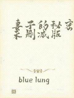 妻子的秘密电影未删减版
