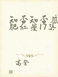 知否知否应是绿肥红瘦17集