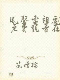 风声电视剧手机免费观看在线谍战剧封面