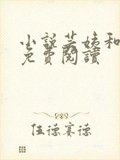 小说芸姨和女婿免费阅读封面