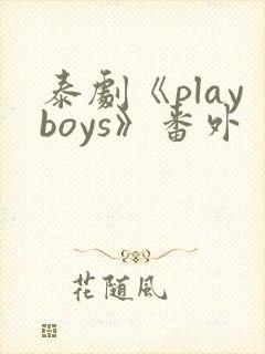 泰剧《playboys》番外封面