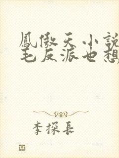 凤傲天小说里黄毛反派也想要幸福封面