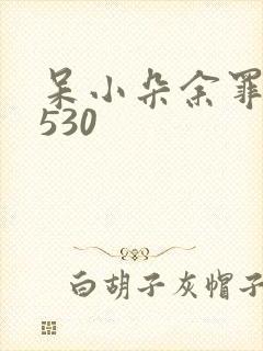 呆小朵余罪全集530