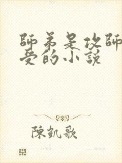 师弟是攻师兄是受的小说