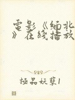 电影《缅北恶魔》在线播放免费观看