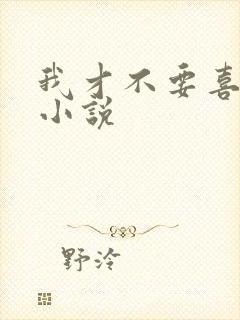 我才不要喜欢他小说
