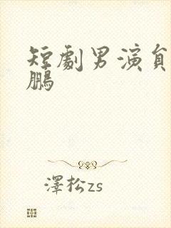 短剧男演员王晨鹏