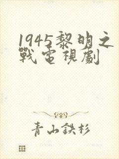 1945黎明之战电视剧