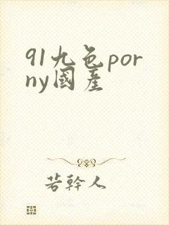 91九色porny国产封面