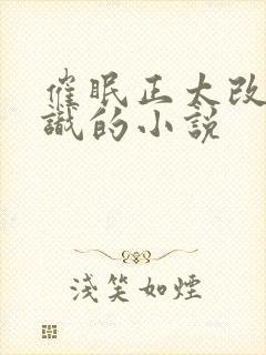 催眠正太改变常识的小说封面