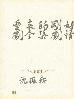 爱来的刚好电视剧全集剧情介绍