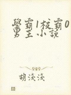 学霸1校霸0双男主小说