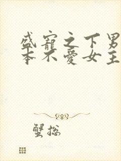 盛宠之下男主根本不爱女主