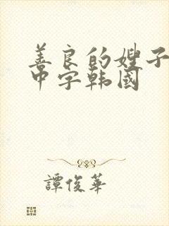 善良的嫂子伦理中字韩国封面