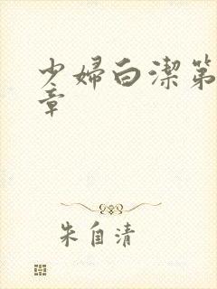 少妇白洁第十四章