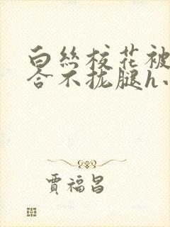 白丝校花被c得合不拢腿h小说