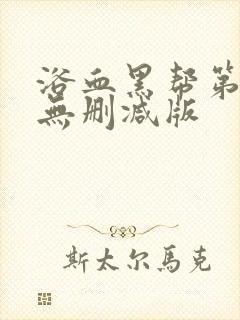 浴血黑帮第三季无删减版封面