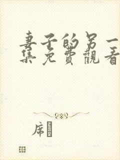 妻子的另一面全集免费观看动漫封面