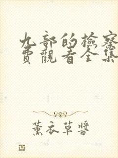 九部的检察官免费观看全集张译