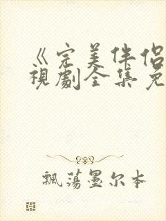 《完美伴侣》电视剧全集免费观看