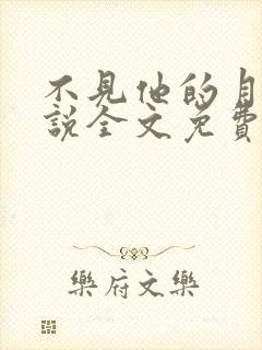 不见他的月光小说全文免费阅读