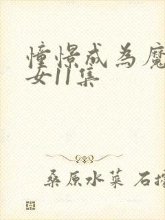 憧憬成为魔法少女11集封面