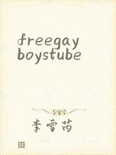 freegayboystube封面