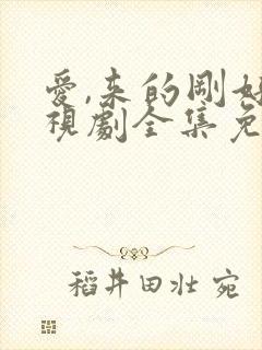 爱,来的刚好电视剧全集免费观看