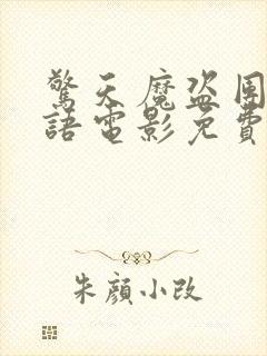 惊天魔盗团2国语电影免费