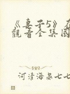 《妻子5》在线观看全集国语封面