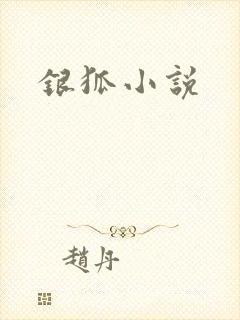 银狐小说